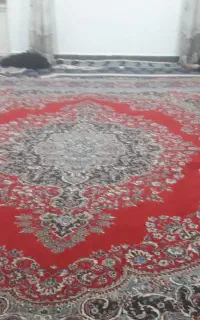 سلام یک تخت فرش ۱۲ متری