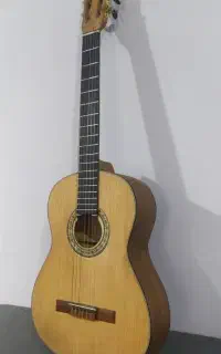 گیتار دیاموند