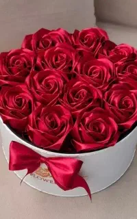 باکس گل و پول