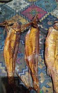 ماهی دودی سفید و شورسفید و دودی فیوفاک