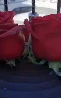 فال