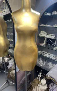 مانکن سوزن خور