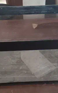 آکواریوم