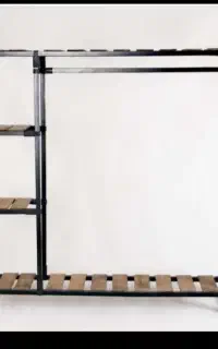 رگال