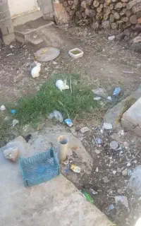 خرگوش