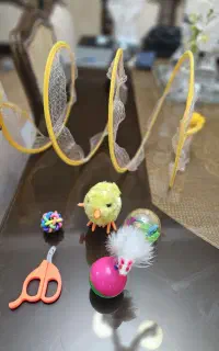 وسایل گربه