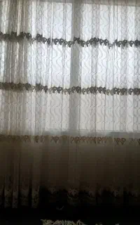 پرده و استر