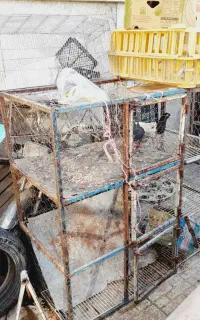 مرودشت