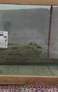 اکواریوم