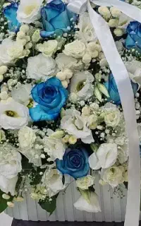 گل سفید ضامن  مم