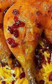انواع غذای خونگی و پرس اقتصادی250