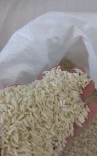 برنج درجه یک علی کاظمی دورود