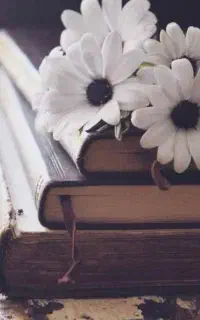تدریس خصوصی زبان‌انگلیسی