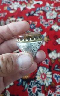 انگشتر شجر خزه ای و شجر کوهان دار