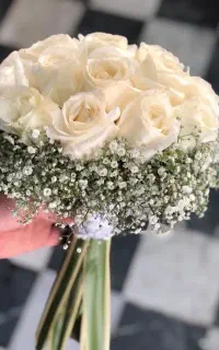 ازدواج آسان نور