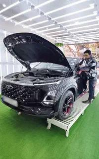 کارشناسی رنگ محسنی