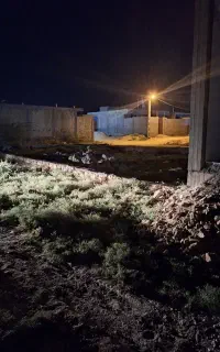 زمین پشت بند محله امید