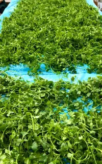 استخدام نیروی خدماتی