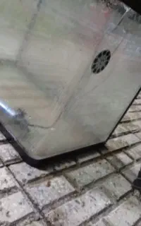 اکواریووم