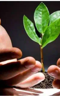 ترک اعتیاد راهنمایی