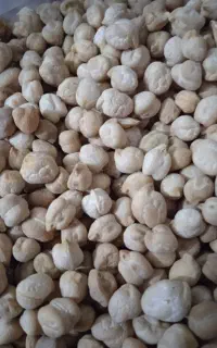 فروش نخود درجه یک با شرط پخت عالی