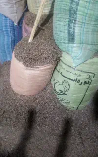 تراشه چوب