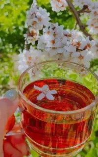 چای خارجی معاوضه با محلی