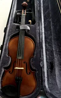 ویولون