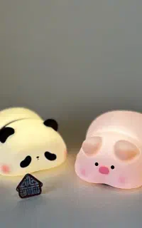 دو عدد چراغ خواب خارجی