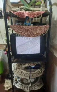 تلوزیون ۲۱ پارس