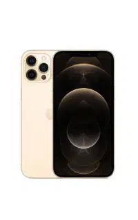 12پرومگس