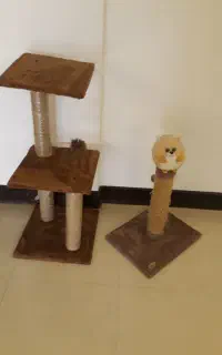 اسکرچر گربه