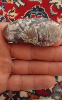 سنگ شجر خزه‌ای