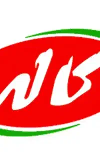 استخدام ویزیتور