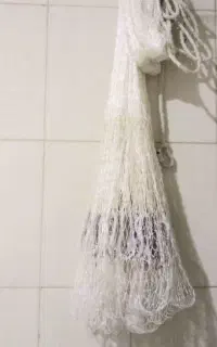 تور ماهیگیری