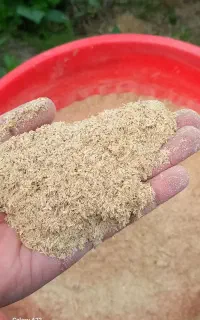 سبوس برنج(آکوته)