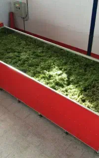 دستگاه خشک کن سبزی استخری (ظرفیت تناژی بالا)