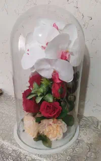 گلدان