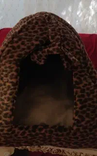 خانه گربه