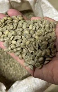 قهوه  (میکس و دان سبز روبوستا و عربیکا)