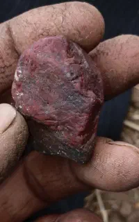 سنگ یایوت