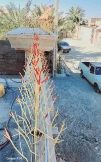 نرده وحفاظ شاخ گوزنی دور حیاط وجوشکاری سیار