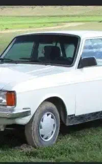 پیکان 81