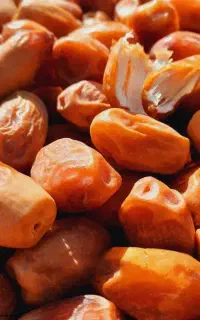 خرما مزاهدی