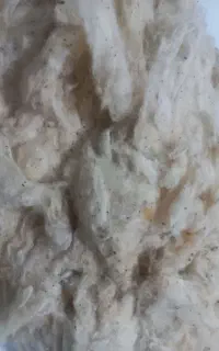 پنبه تشک ولحاف