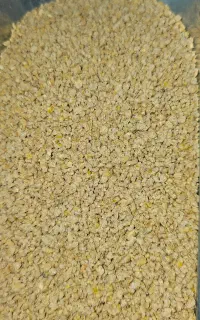کنسانتره،سرلاک،آبخوری و دانخوری مخصوص پرندگان