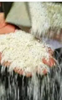 کارگر برنجکوبی