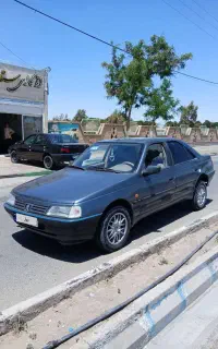 دلفینی ۹۴سنتایی