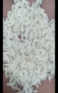 برنج هاشمی