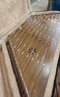 آموزش سنتور ، کوک سنتور ، فروش سنتور